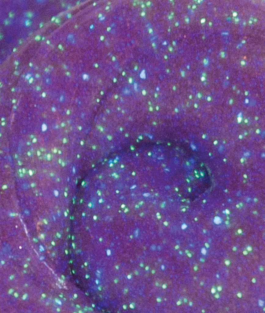 ミルキーウェイ