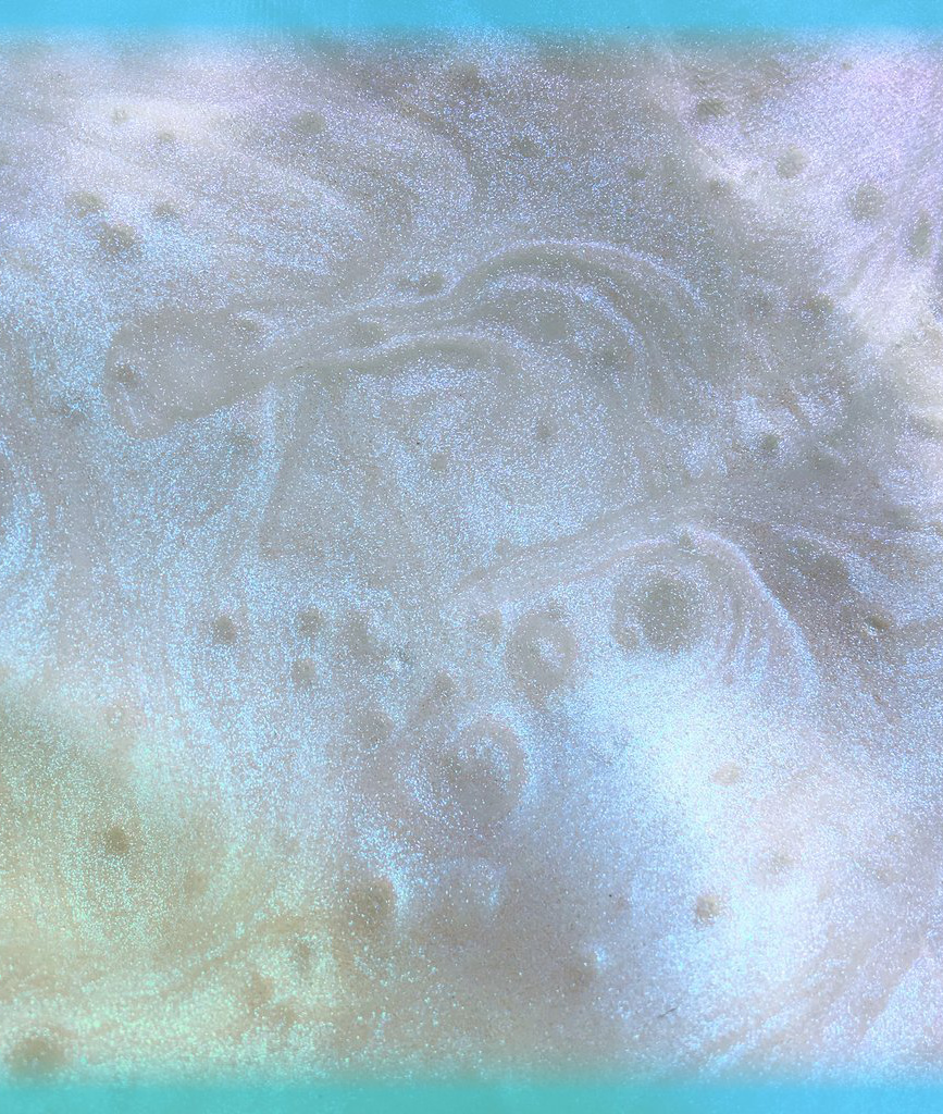 ノーザンライト